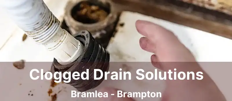  Clogged Drain Solutions Bramlea - Brampton