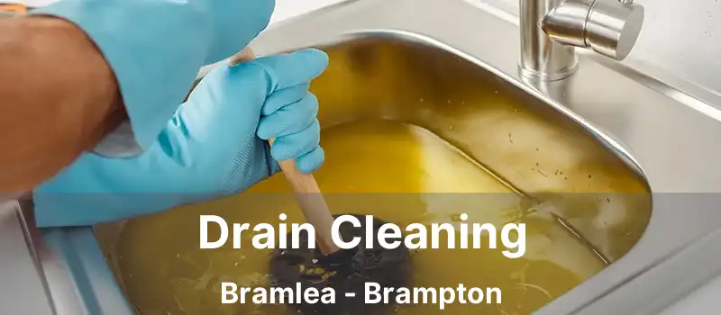 Drain Cleaning Bramlea - Brampton