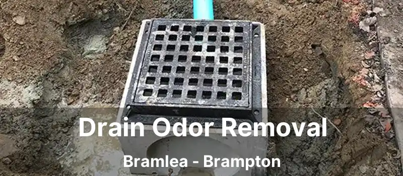  Drain Odor Removal Bramlea - Brampton
