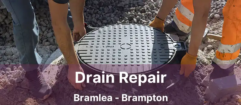  Drain Repair Bramlea - Brampton