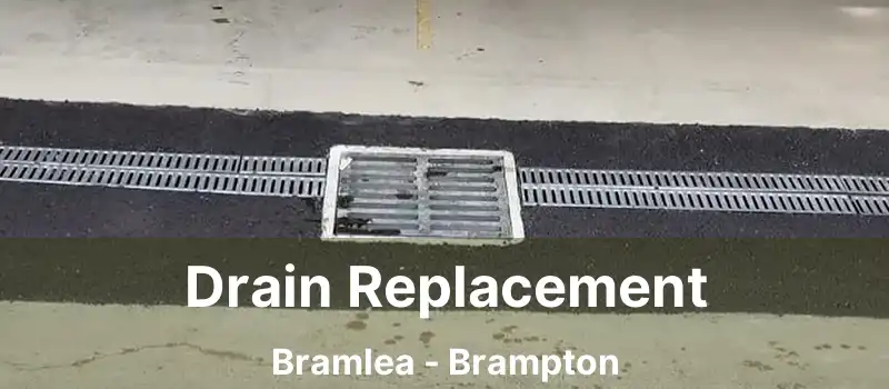 Drain Replacement Bramlea - Brampton
