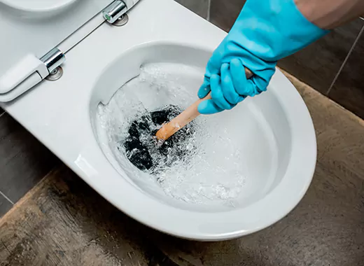 Drain Power Flush Services in Bramlea, Brampton